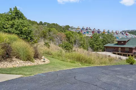 54 Lindal Cedar Ln, Branson, MO 65616 photo 5