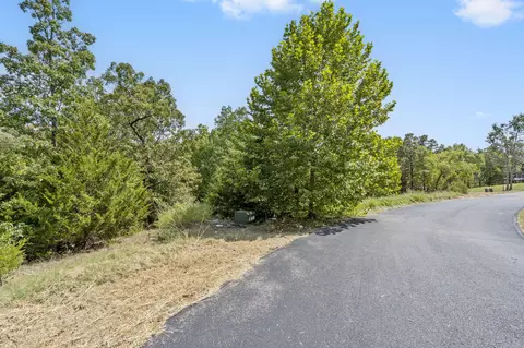 54 Lindal Cedar Ln, Branson, MO 65616 photo 6