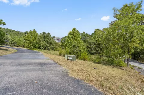 54 Lindal Cedar Ln, Branson, MO 65616 photo 7