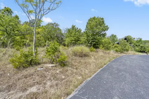 54 Lindal Cedar Ln, Branson, MO 65616 photo 3