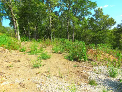 000 Stallion Bluff Rd, Shell Knob, MO 65747 photo 11