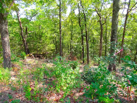000 Stallion Bluff Rd, Shell Knob, MO 65747 photo 8