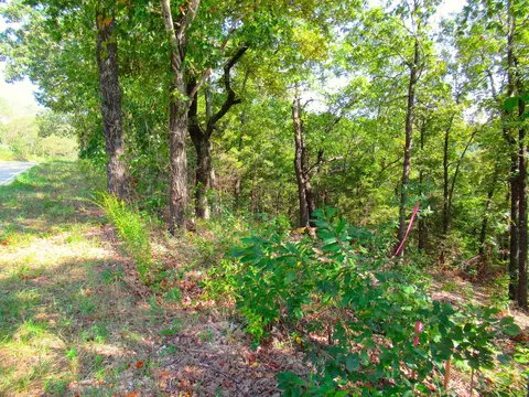 000 Stallion Bluff Rd, Shell Knob, MO 65747 photo 7