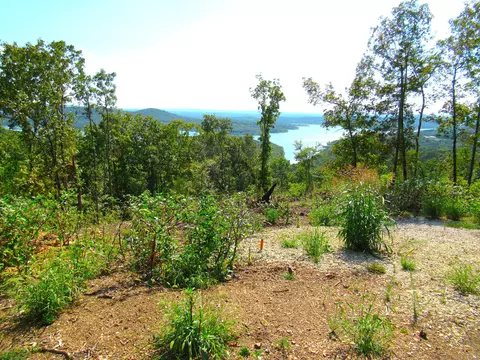 000 Stallion Bluff Rd, Shell Knob, MO 65747 photo 4