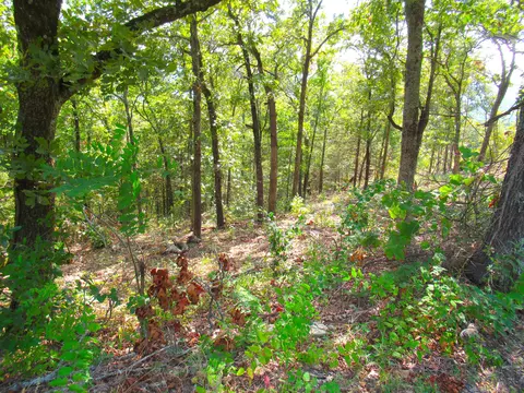 000 Stallion Bluff Rd, Shell Knob, MO 65747 photo 9