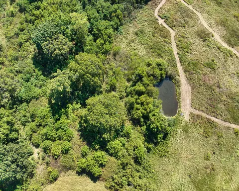 View/Area - 43 Spring Flood Rd, Goodman, MO 64843 photo 16 of 41