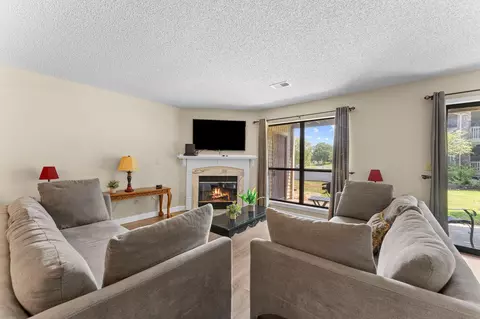 Living - 160 Mulligan Dr #4, Branson, MO 65616 photo 1 of 3