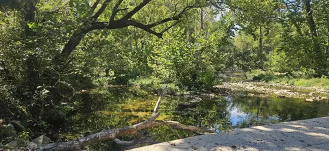 000 Brushy Creek Rd, Houston, MO 65483