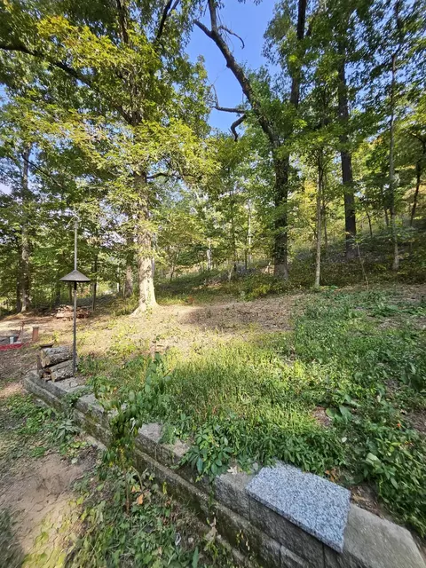213 Hooten Town Rd, Crane, MO 65633 photo 17