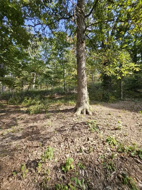 213 Hooten Town Rd, Crane, MO 65633 photo 18