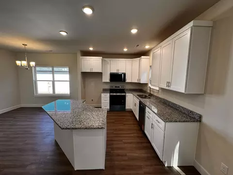 180 Sunrise Villa Dr, Branson, MO 65616 photo 4