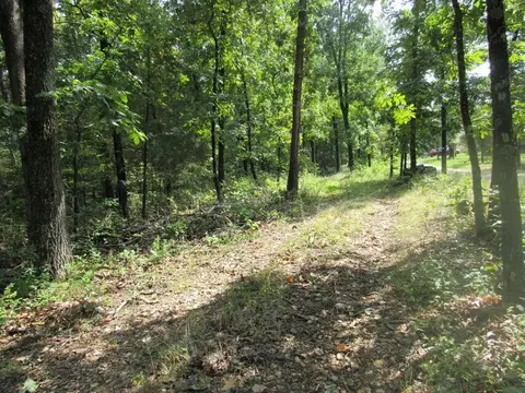 347 Country Farm Drive Dr, Marshfield, MO 65706