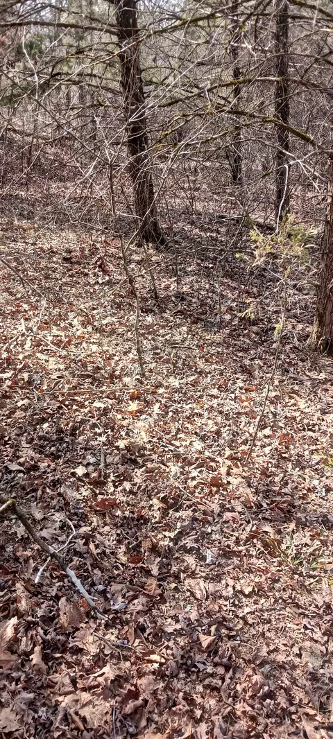 lot26 Crestview Dr, Theodosia, MO 65761