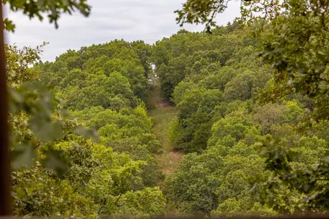 11571 Co Rd #76-211, Ava, MO 65608 photo 52