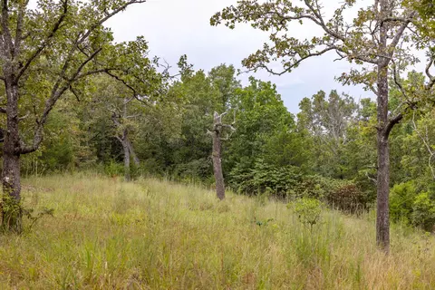 11571 Co Rd #76-211, Ava, MO 65608 photo 49