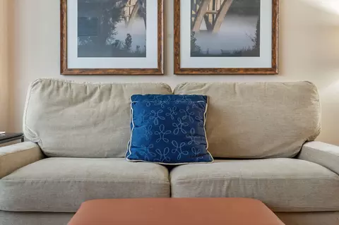 Living - 200 S Sycamore St #930, Branson, MO 65616 photo 5 of 5