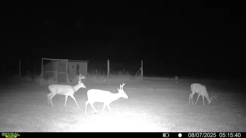 Other - Hc 73 Box 720, Drury, MO 65638 photo 10 of 14