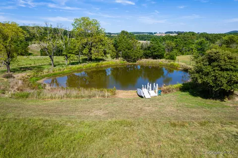 View/Area - Hc 73 Box 720, Drury, MO 65638 photo 4 of 4