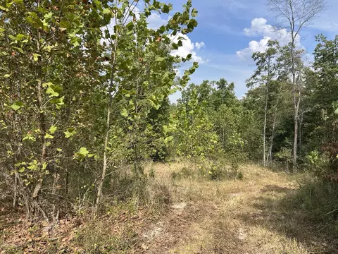 Hc 73 Box 4925, Drury, MO 65638 photo 18