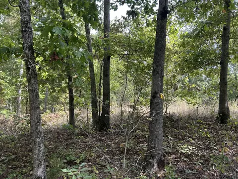 Hc 73 Box 4925, Drury, MO 65638 photo 21