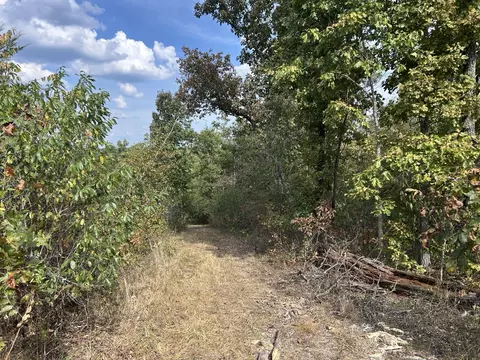 Hc 73 Box 4925, Drury, MO 65638