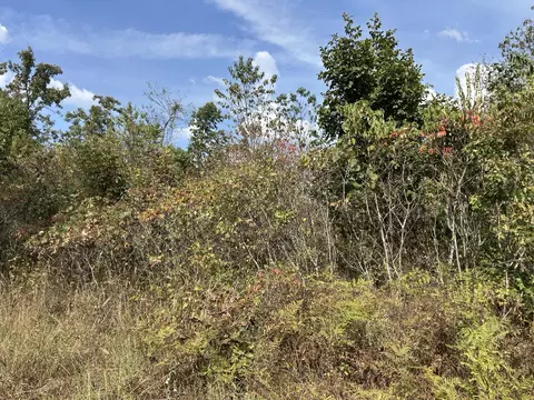 Hc 73 Box 4925, Drury, MO 65638 photo 28