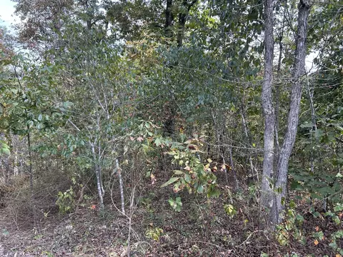 Hc 73 Box 4925, Drury, MO 65638 photo 15