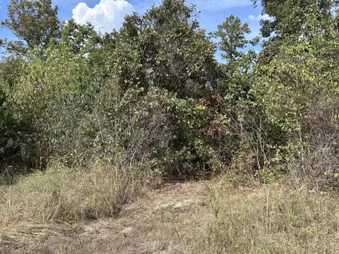 Hc 73 Box 4925, Drury, MO 65638 photo 24