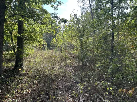 Hc 73 Box 4925, Drury, MO 65638 photo 23
