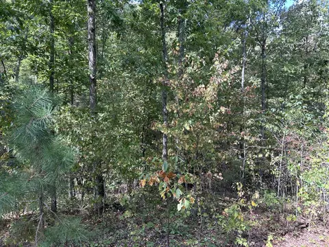 Hc 73 Box 4925, Drury, MO 65638 photo 20