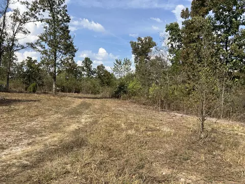 Hc 73 Box 4925, Drury, MO 65638 photo 3