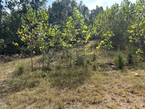 Hc 73 Box 4925, Drury, MO 65638 photo 19