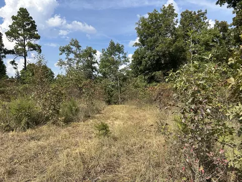 Hc 73 Box 4925, Drury, MO 65638 photo 25