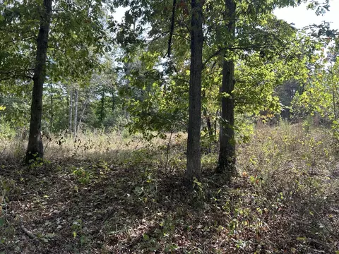 Hc 73 Box 4925, Drury, MO 65638 photo 22