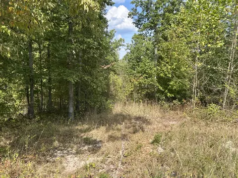 Hc 73 Box 4925, Drury, MO 65638