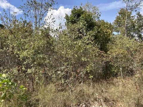 Hc 73 Box 4925, Drury, MO 65638 photo 27