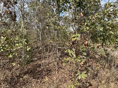Hc 73 Box 4925, Drury, MO 65638 photo 29