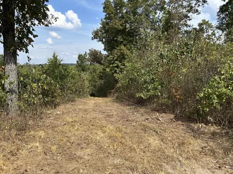 Hc 73 Box 4925, Drury, MO 65638 photo 13