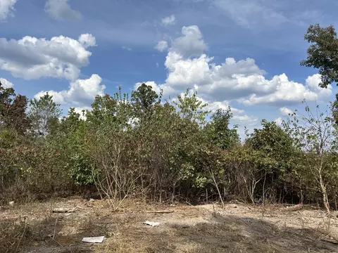 Hc 73 Box 4925, Drury, MO 65638 photo 10