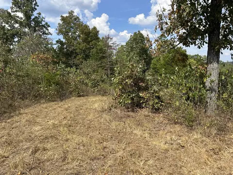 Hc 73 Box 4925, Drury, MO 65638 photo 14