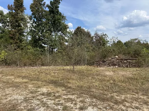 Hc 73 Box 4925, Drury, MO 65638 photo 5
