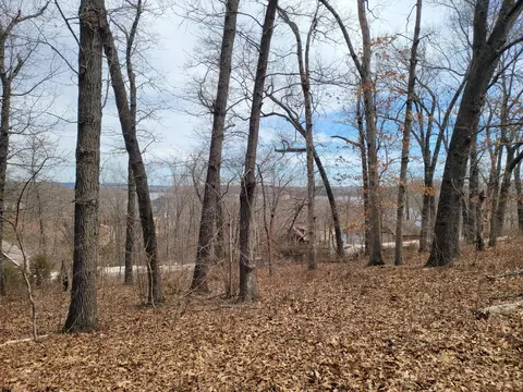 60 Green Cypress Ln, Shell Knob, MO 65747 photo 7