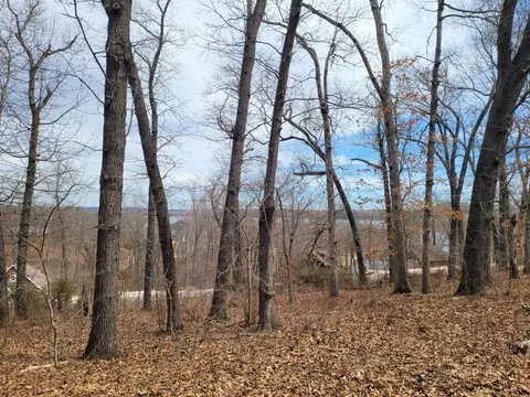 60 Green Cypress Ln, Shell Knob, MO 65747 photo 8