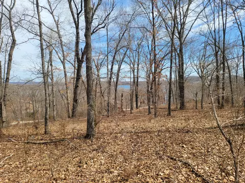 60 Green Cypress Ln, Shell Knob, MO 65747 photo 3