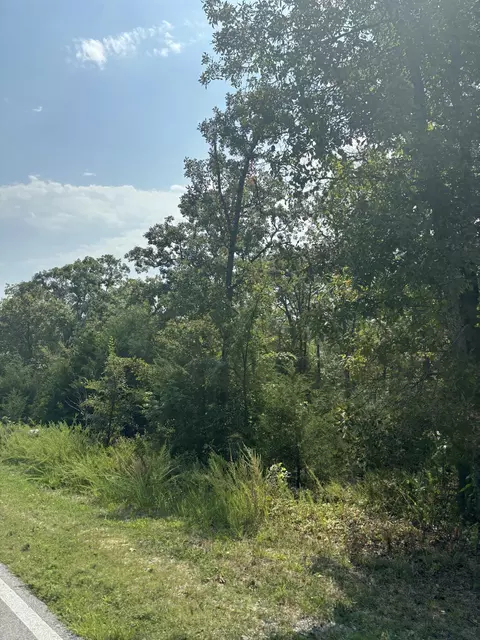 lot Apt 3 Fox Hollow Rd, Branson West, MO 65737