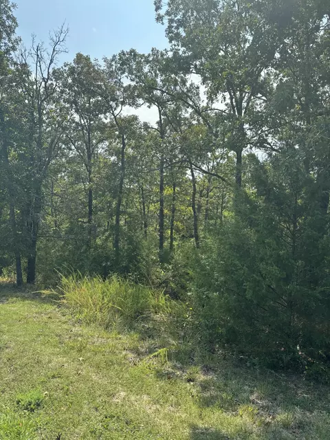 lot Apt 3 Fox Hollow Rd, Branson West, MO 65737