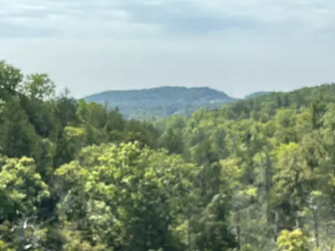 lot Apt 3 Fox Hollow Rd, Branson West, MO 65737
