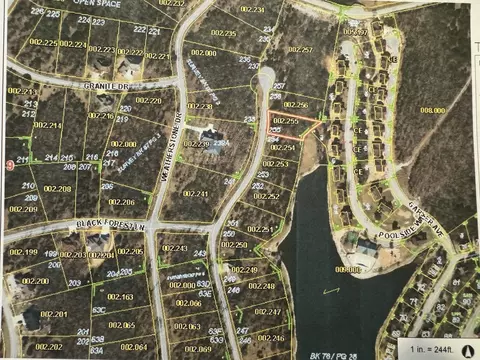 255 Blue Lake Trl, Branson West, MO 65737
