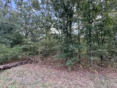 000 State Highway 39, Aurora, MO 65605 photo 6