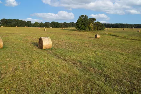 000 E Farm Road 68 #PARCEL 3, Strafford, MO 65757